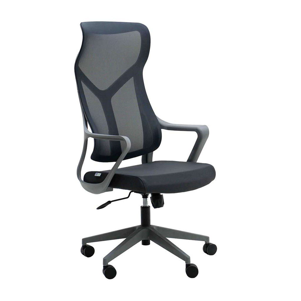 Silla Ejecutiva para Oficina Mod. 3000 - Color Gris